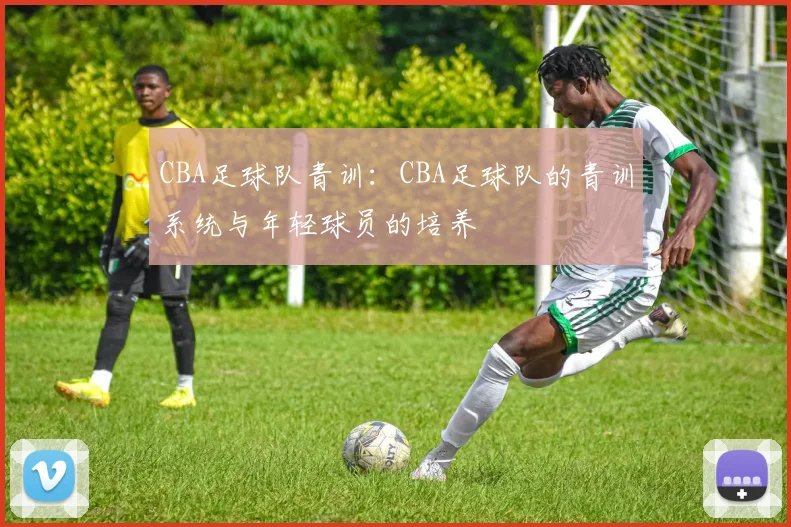 CBA足球队青训：CBA足球队的青训系统与年轻球员的培养