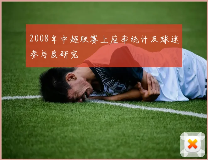2008年中超联赛上座率统计及球迷参与度研究