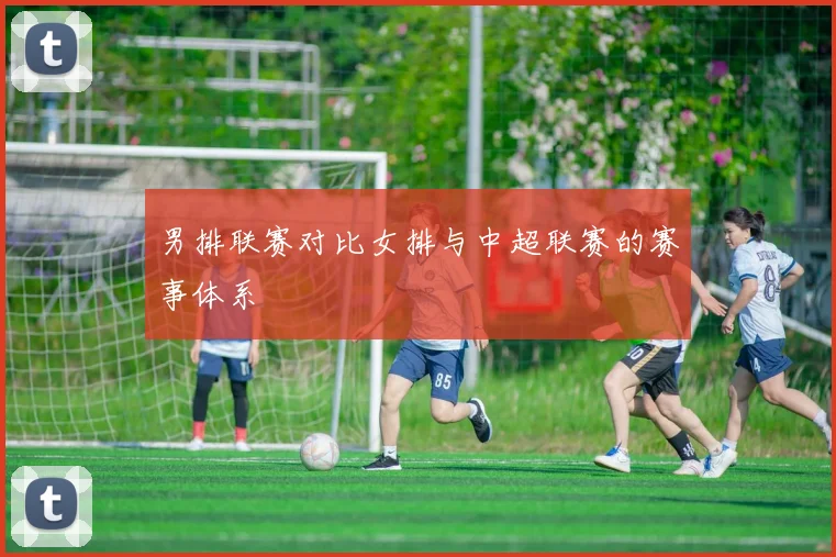 男排联赛对比女排与中超联赛的赛事体系