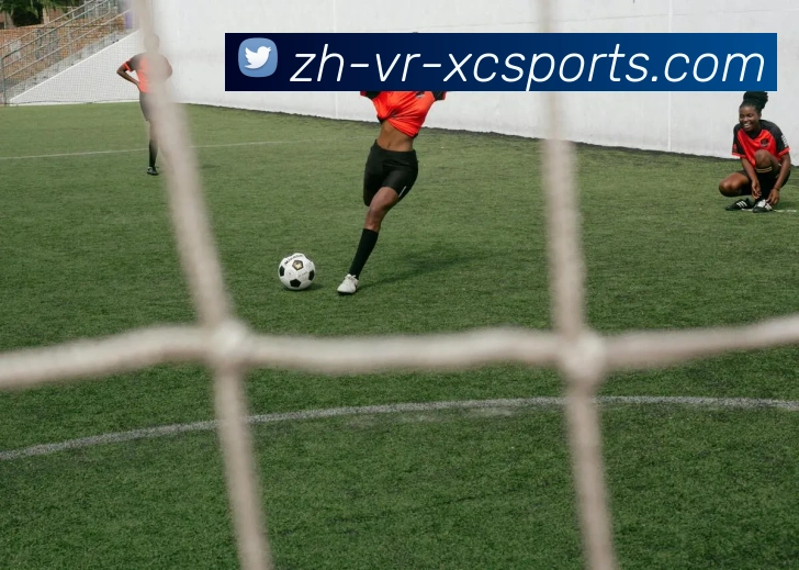 杏彩体育服务体系